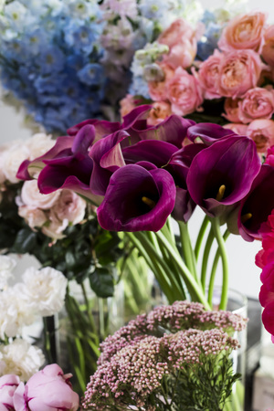 Violet flowers calla in a vase on the counter in a flower shop among other colorful and diverse flowersの写真素材