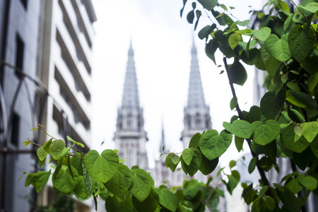 Spring cityscape with green leaves and catholic church in the backgroundの写真素材