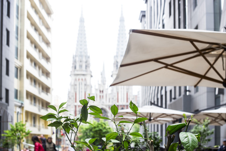 Spring cityscape with green leaves and catholic church in the backgroundの写真素材