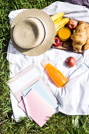 Picnic in the park with croissants and juice next to the magazine and note pads. Planning time and keeping a diary in the nature of the conceptの写真素材
