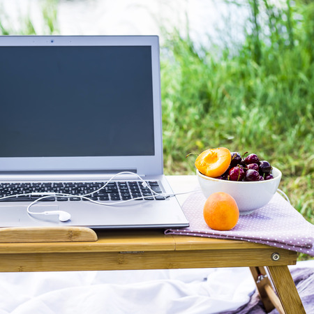 Work on a laptop on a picnic in nature - next to a bowl of cherries and apricots. Freelancer work conceptの写真素材