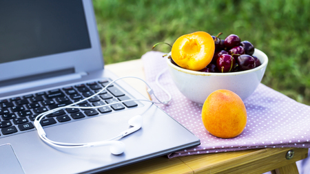 Work on a laptop on a picnic in nature - next to a bowl of cherries and apricots. Freelancer work conceptの写真素材
