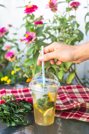 A plastic glass with a tube with mojito with mint and lemon on the table next to a red checkered towel on a background of garden red flowers. Summer drink outdoorの写真素材