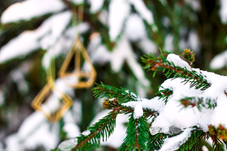 The branches of the Christmas tree covered with snow outdoor decorated with gold metal minimalist figures. Winter background conceptの写真素材