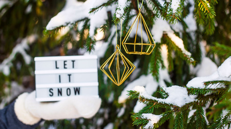 Let it snow it is written on a decorative lamp in the hand of a woman in a white mitten against the background of green fir branches in the snowの写真素材