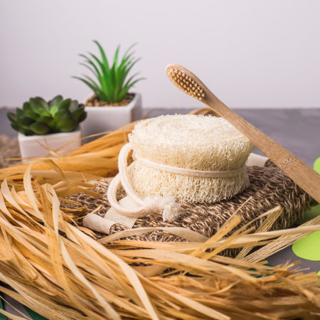Bamboo Toothbrush and Ecological Cleaners from Loofah and Bast - Bathroom Accessories in Zero Waste...