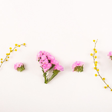 Delicate spring and summer yellow and pink flowers on a light background. Nature and minimalism concept. Top view, flat layの写真素材