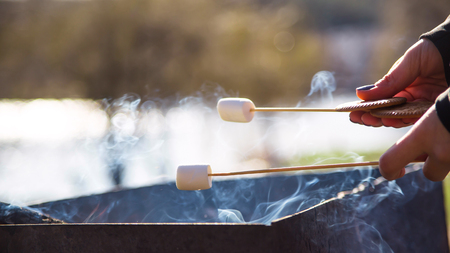 Cooking dessert with marshmallows by the fire at a picnic in natureの写真素材