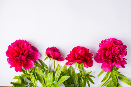 Bright burgundy crimson peonies on a gray background - creative spring floral background.Top view, flat layの写真素材