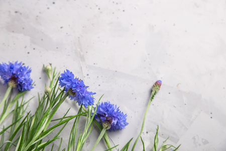 Blue tender seasonal cornflowers wild flowers on a gray textural background.Top view, copy spaceの写真素材
