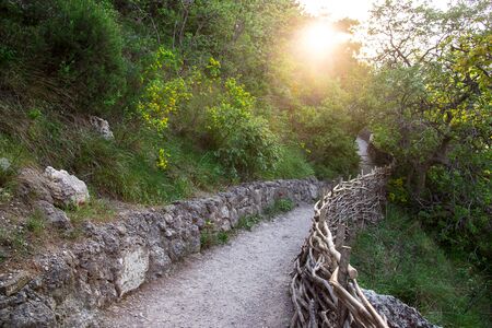 Footpath in the mountains among pines and green trees at sunset. Beautiful summer landscapeの写真素材
