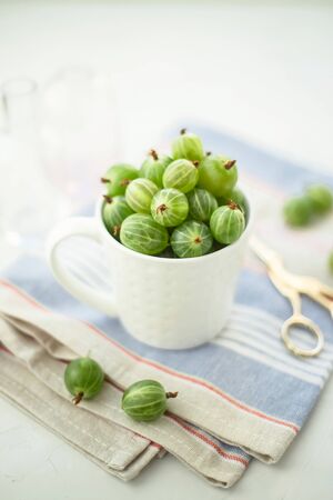 Green gooseberry in a white cup on a bright towel by the window - rustic summer harvestの写真素材