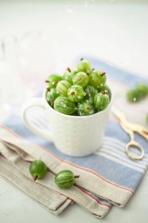 Green gooseberry in water drops in a white cup on a bright towel by the window - rustic summer harvestの写真素材