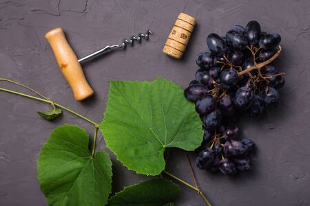 The concept of wine making and finished wine from the autumn harvest. Grape leaves, corkscrew, cork and bunch of ripe grapesの写真素材