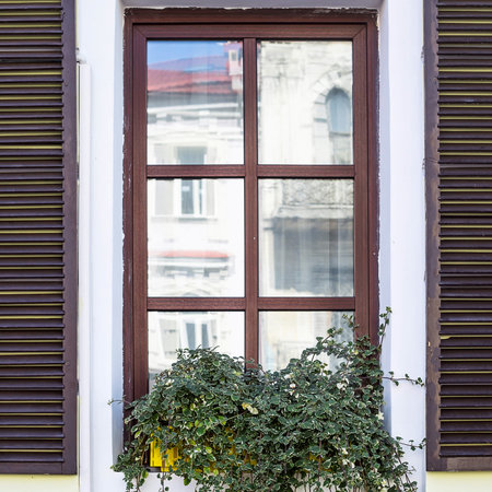 Window with wooden shutters and greenery in a pot in the old town of modern Europe