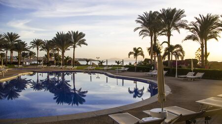 A place for relaxation near the pool with sun beds and palm trees. Egypt. Classic blue natural color.の写真素材