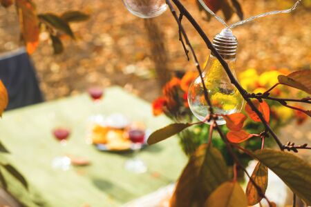 Beautiful festive dinner in the garden among autumn leaves and pumpkins with mulled wine in a glass can. Background.の写真素材