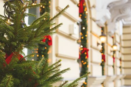 Christmas tree with lights next to the decorated facade of a beautiful European building.の写真素材