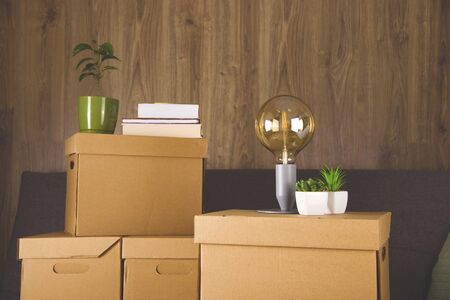 Relocation concept. Lamp, books and plants on craft boxes for packing things and moving to other housing.の写真素材