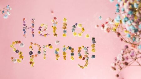 Hello spring. The letters are lined with small multi-colored gypsophila flowers and fly on a yellow background among other flowers.の写真素材