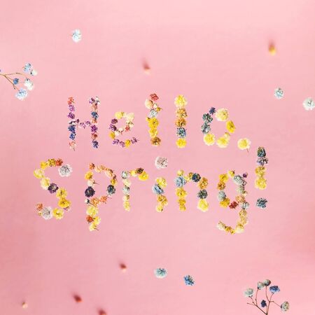 Hello spring. The letters are lined with small multi-colored gypsophila flowers and fly on a yellow background among other flowers.の写真素材