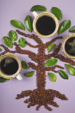 A tree-shaped layout made from coffee beans with cups of coffee grown on it. Top view layout.の写真素材
