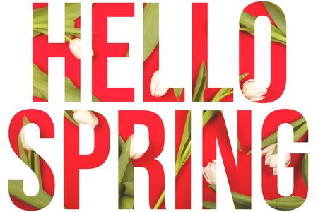Hello spring written from white beautiful spring tulips with green leaves on a bright red background. Top view, flat lay.の写真素材