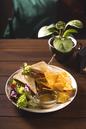 Variety of classic traditional american tasty junk unhealthy food on wooden background with copy space. Sandwiches and Chips.の写真素材