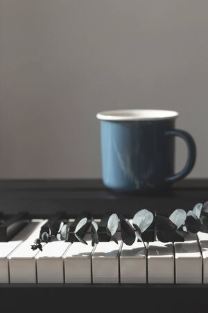 Eucalyptus in a vase on the piano. Background.の写真素材