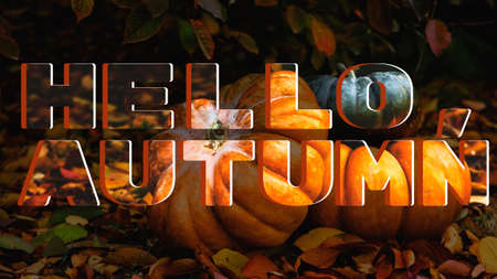 Hello, Autumn. Postcard with pumpkins and autumn leavesの写真素材