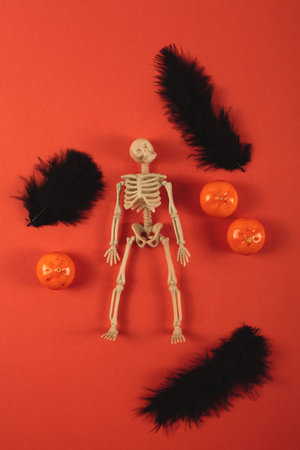 Orange background with skeleton, feathers and mini pumpkins. Halloween