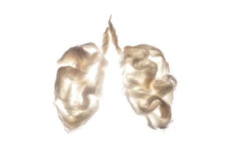 Lung-shaped layout. International lung health day conceptの写真素材