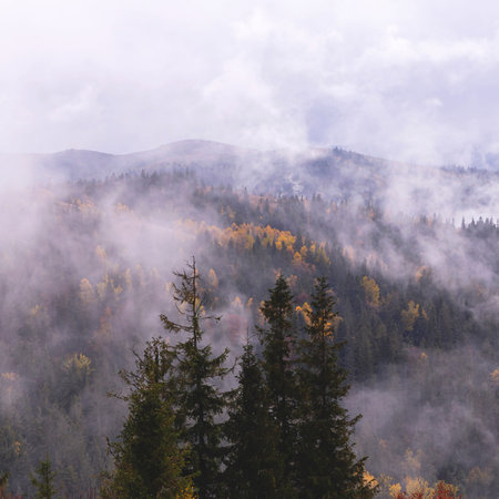 Autumn natural gloomy background cloudy day in the mountains