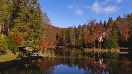 Peaceful autumn landscape with a lake among colored trees