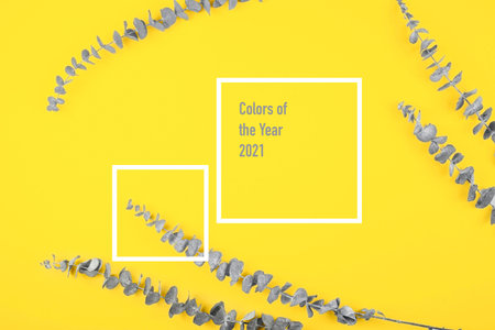 The color of the year 2021 is illuminating yellow and the ultimate gray.