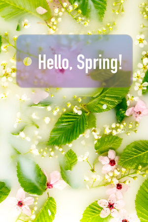 Flowers and leaves in white water background.の写真素材