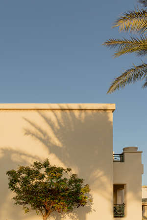 Shadows from palm trees on the light walls of a building backgroundの写真素材