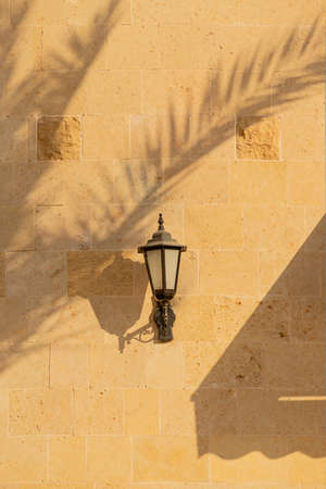 Shadows from palm trees with a lamp on the light walls of a building backgroundの写真素材