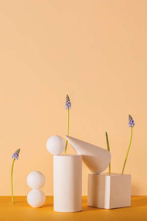 Spring modern still life with geometric shapes and blue muscari flowers on a neutral backgroundの写真素材