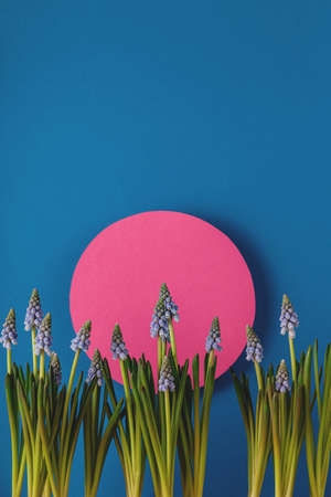 Modern spring card with blue flowers on the background of the dawn sun made of paper. Paper art with flowersの写真素材
