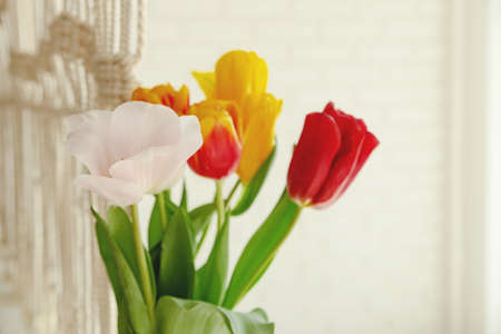 Beautiful spring multicolored tulips in a light interior next to macrameの写真素材