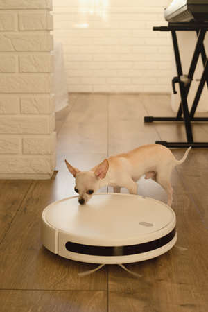 Smart robot vacuum cleaner in the interior makes cleaning of the laminate floorの写真素材