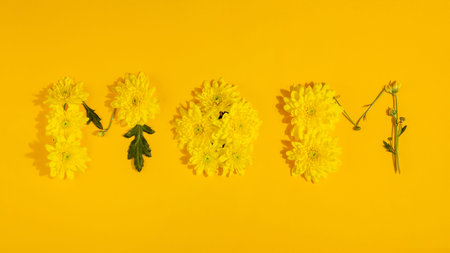 The word mom laid out from yellow chrysanthemums on a yellow background. Mothers day flat lay layout