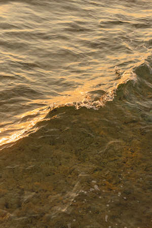Texture of small waves on the sea on a sunny morning.の写真素材
