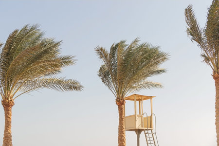 Beautiful tall palm trees and lifeguard tower on the beach by the ocean against the background of...