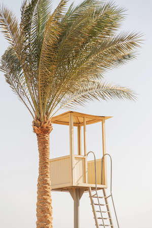 Beautiful tall palm tree and lifeguard tower on the beach by the ocean against the background of the skyの写真素材