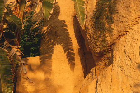 Green branches and shadows of tropical palms against yellow rock.