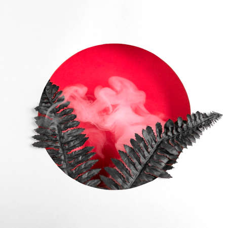 A red round hole from which black fern leaves with white smoke grow. Creative modern floral and abstract background concept.の写真素材