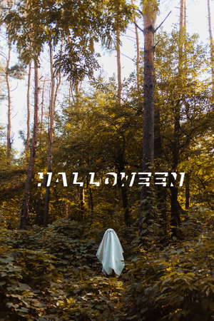 Halloween ghost in forest. Festive creative conceptの写真素材