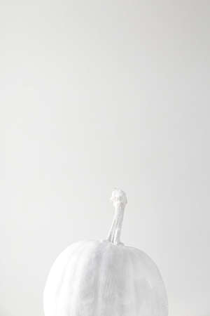 White decorative Halloween pumpkin top on monochrome background. Background with copy space.の写真素材